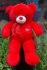 Love bear and tie(Size 75 Cm)