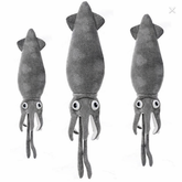 Cuttlefish 40 cm