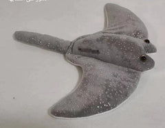 Ray fish (Size 55Cm)