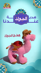 Festive Mawlid Camel