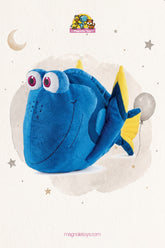 Dory fish (Size 30 Cm)