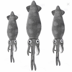 Cuttlefish 40 cm