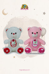 Teddy bear (Size 30 Cm)
