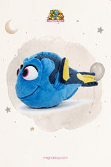 Dory fish (Size 30cm)